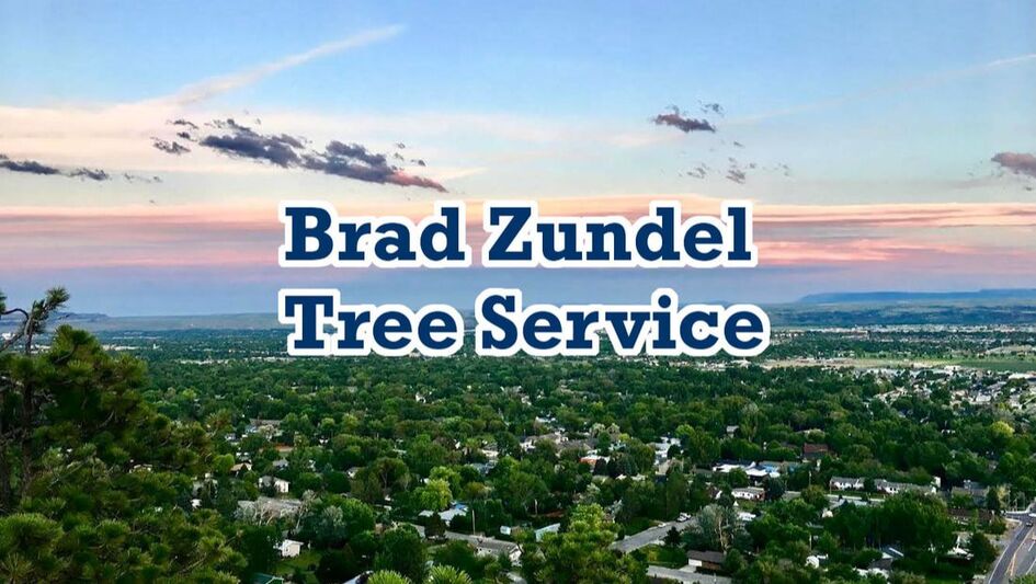 Brad Zundel Tree Service